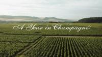 A Year in Champagne 1080p x265 AAC