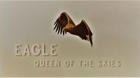 Eagle Queen of the Skies 1080p HDTV x264 AAC