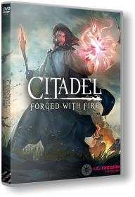 Citadel Forged with Fire