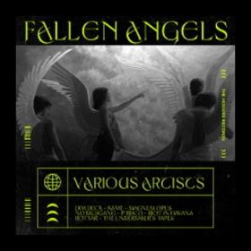VA - IV - Fallen Angels (2021)
