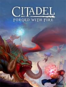 Citadel - Forged with Fire [FitGirl Repack]