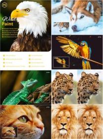GraphicRiver - Wild Paint Photoshop Action 29744891