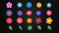 Videohive - 20 Floral Elements 23898514