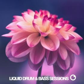 Various Artists - 2020 - Liquid Drum & Bass Sessions 2020 Vol 9 [FLAC]