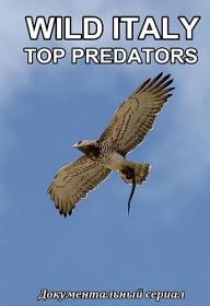 Дикая Италия_Top Predators