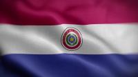 Videohive - Paraguay Flag Textured Waving Front Background HD 30306033