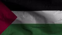 Videohive - Palestine Flag Textured Waving Background 4K 30306032