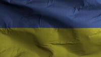 Videohive - Ukraine Flag Textured Waving Background 4K 30306136