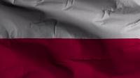 Videohive - Poland Flag Textured Waving Background 4K 30306150