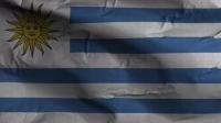 Videohive - Uruguay Flag Textured Waving Background 4K 30306094