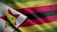 Videohive - Zimbabwe Flag Textured Waving Close Up Background HD 30306030