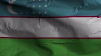 Videohive - Uzbekistan Flag Textured Waving Background 4K 30306120