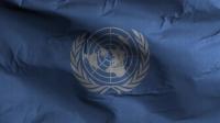 Videohive - UN Flag Textured Waving Background 4K 30306137