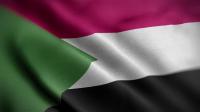 Videohive - Sudan Flag Textured Waving Close Up Background HD 30306036