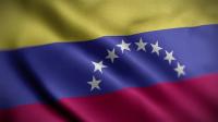 Videohive - Venezuela Flag Textured Waving Close Up Background HD 30306068