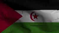 Videohive - Western Sahara Flag Textured Waving Background 4K 30306134