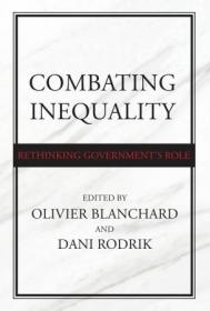 Combating Inequality - Rethinking Government's Role