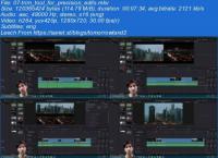 Udemy - Beginner's Guide to Video Editing in DaVinci Resolve 17