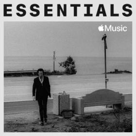 Nick Cave & The Bad Seeds - Essentials (2021) Mp3 320kbps [PMEDIA] ⭐️