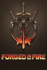 Forged in Fire S08E11 720p WEB h264-BAE
