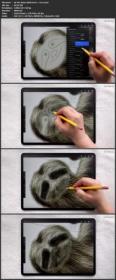 Skillshare - How to Draw Fur in Procreate with Custom and Built-In Brushes