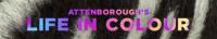 Attenboroughs Life in Colour S01E01 Seeing in Colour 720p iP WEBRip AAC2.0 H264-NTb[TGx]