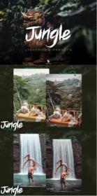 Jungle Lightroom Presets - Cinematic Green Forest