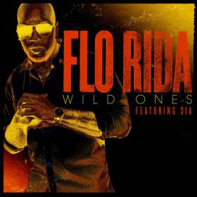 Flo Rida - Wild Ones (feat  Sia)