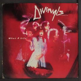 Divinyls - What A Life (Expanded Edition) (2021) Mp3 320kbps [PMEDIA] ⭐️