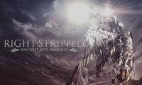 Right Stripped - Daylight into Darkness (2021) [320]
