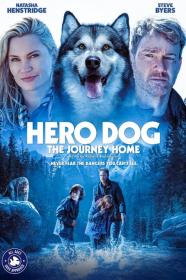 Hero Dog The Journey Home (2021) [1080p] [WEBRip] [5.1] [YTS]