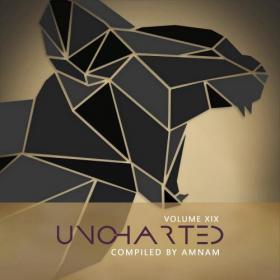 VA - Uncharted Vol 19 (2021)