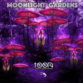 Ioon Cosmic Downtempo - Moonlight Garden (2021)