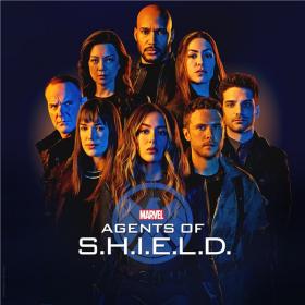 Agents of S.H.I.E.L.D.  1080p WEBRip TeamHD