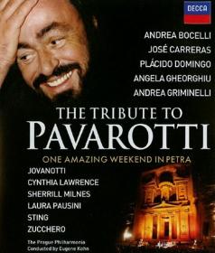 The Tribute to Pavarotti One Amazing Weekend in Petra (2008) Blu-ray DTS 720p x264 HDBRiSe