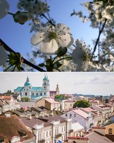 Oboi-Belarus-02.05.2021