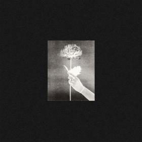 (2021) White Flowers - Day By Day [FLAC]