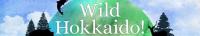 Wild Hokkaido S04E14 Early Summer on the Ishikari Coastline 720p HDTV x264-DARKFLiX[TGx]