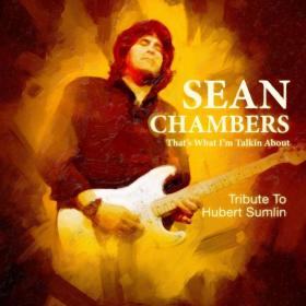 Sean Chambers - That's What I'm Talkin About - Tribute to Hubert Sumlin - 2021