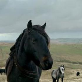 A Lake District Farm Shop S01E02 720p HDTV x264-DARKFLiX[TGx]