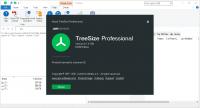 TreeSize Professional v8.1.4.1581 (x64) Multilingual Portable