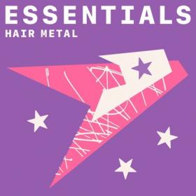 VA - Hair Metal Essentials (2021) Mp3 320kbps [PMEDIA] ⭐️
