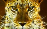 Wild Felines Animated Wallpaper