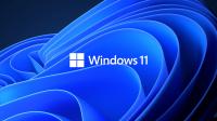 Windows 11 X64 [DEV Build]  PRO.EDU.ENT.HOME 2021