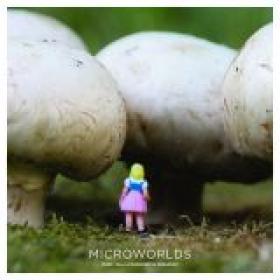 Microworlds 2010 3D 1020p Half-SBS