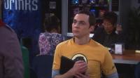 The Big Bang Theory S05E15 480p HDTV x264--ChameE