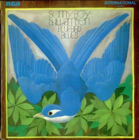Sonny Boy Williamson 1 Bluebird Blues(blues)(mp3@320)[rogercc][h33t]