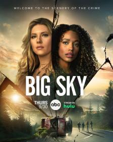 Big Sky 2020 S02E01 FASTSUB VOSTFR WEBRip x264-WEEDS