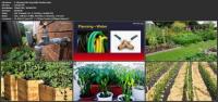 Udemy - Vegetable Gardening 101