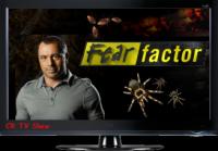 Fear Factor Sn7 Ep6 HD-TV - The Bees Are So Angry - Cool Release